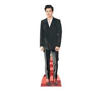 STAR CUTOUTS CS910 Small Cardboard Cutout l Harry l Singer Styles l Red Shoes l Music Theme Party Decoration l Gifts for Fans, Birthdays & The Home, Multicolour
