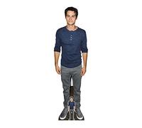 STAR CUTOUTS CS922 Dylan O'Brien Blue Shirt Lifesize Cardboard Cutout with Free Mini Standee for Fans, Solid, Multicolour, Regular