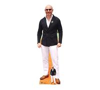 STAR CUTOUTS CS933 Pitbull (Rapper) Lifesize Cardboard Cutout With Free Mini Great For Music Parties Regular