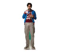 Star Cutouts Cut Out of Doctor Raj Koothrappali | Quick Set Up, Includes Easel, Sitcom parties and fan displays
