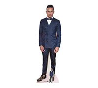 STAR CUTOUTS Life Size Cut Out with Mini Version of Lewis Hamilton Red Carpet, Cardboard, Multi-Colour, 174 x 54 x 174 cm