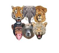 Star Cutouts Ltd Bear Single Face Mask