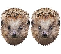 STAR CUTOUTS Ltd Hedgehog Single Cardboard Face Mask l Animal Mask l, Multicolour,Height: 27cm / 10.6 in Width: 20cm / 7.8 in (Pack of 2)