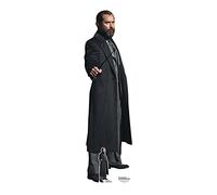 Star Cutouts Ltd SC4056 Albus Dumbledore Jude Law Lifesize Cardboard Cutout Perfect for Birthdays, Gifts, Parties & Fans Fantastic Beasts