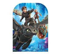 Star Cutouts SC1301 How To Train Your Dragon Toothless Hiccup Stormfly Astrid - Child Size Party Stand In - Height 130cm Width 96cm