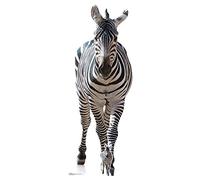 Star Cutouts SC1439 Adult Zebra Black and White Cardboard Cut Out Height 162cm - Ideal for Animal Theme, Parties, Birthdays & Fans, Room Decorations & Events