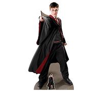 Star Cutouts Harry Potter Quidditch Captain Height 170 cm Cutout, Multi
