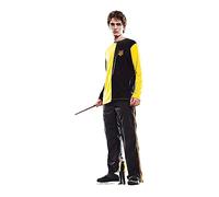 Star Cutouts SC4283 Cedric Diggory Robert Pattinson Cardboard Cutout - Harry Potter Party Theme With Mini