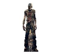 Star Cutouts SC4352 Zombie Skeleton Cardboard Cutout Halloween Theme