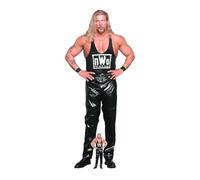 Star Cutouts SC4413 Kevin Nash NWO WWE Cardboard Cut Out Height 196cm
