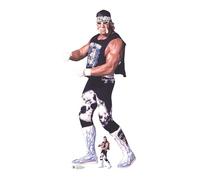 Star Cutouts SC4414 Hulk Hogan NWO WWE Cardboard Cut Out Height 196cm