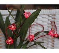 Star LED-Lightchain "Viola-Battery", 10 pcs 10 red Flowers, red LED, Battery Operated Transparent Cable, ca. 1,35 m, Window Box with,