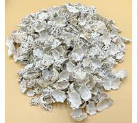Star Limpet Seashells ~ 250 Grams to 1 Kilo ~ Shells ~ Crafts ~ Art (A. sample - 10 shells)
