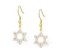 Star of David Earrings for Women Stainless Steel Dainty Jewish Star of David Dangle Drop Earrings Hexagon Pendant Protection Jewish Hanukkah Religious Jewelry Gifts