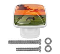 Star River Hanging Over The WildernessRound Corner Square Drawer Pulls,Stainless Steel Cabinet Handles, Matte Black Furniture Knobs