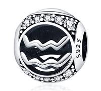 Star Sign Birthday Birth Month Date Horoscope Zodiac Constellation Charm Bead Pendant 925 Sterling Silver Compatible With Pandora Charm Moments Bracelet (Aquarius)