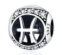 Star Sign Birthday Birth Month Date Horoscope Zodiac Constellation Charm Bead Pendant 925 Sterling Silver Compatible With Pandora Charm Moments Bracelet (Pisces)
