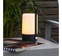 STAR TRADING Flame Lantern LED table lamp, portable, battery