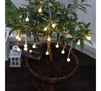 STAR TRADING Globini warm white LED solar fairy lights