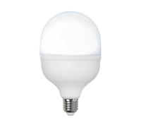 STAR TRADING LED bulb E27, 30 W, opal, 6,500 K, 4,000 lumens, round