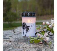 STAR TRADING LED grave light Dandelion, 12 cm white/black plastic battery