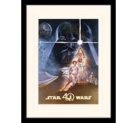 Star Wars 40th Anniversary (New Hope Art) 30 x 40cm Memorabilia