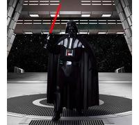 Star Wars Adult Deluxe Darth Vader Costume Standard