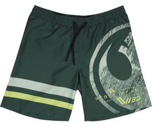 Star Wars Big Infantry Swim Shorts olive M
