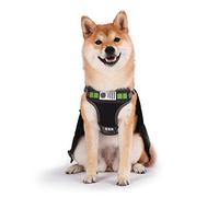 Star Wars Darth Vader Cosplay Harness - Large, Black, No Pull with Hood