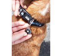 CERDÁ LIFE'S LITTLE MOMENTS Star Wars Small Dog Puppy Collar - Officially Licensed Dinsey Star Wars, Cranberry