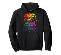 Star Wars Darth Vader Rainbow Darkside Pullover Hoodie