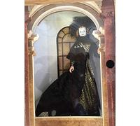 Star Wars Episode 1 The Phantom Menace Adult Collectors 1999 Portrait Edition 12 Inch Tall Doll - Queen Amidala in Black Travel Gown