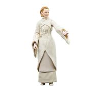 Star Wars Hasbro The Black Series Senator Mon Mothma Toy 6-Inch-Scale Andor Collectible Action Figure, Toys for Ages 4 and Up, Multicolor, F5530