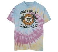 STAR WARS Kids' Endor Camp Boys Short Sleeve Tee Shirt, BLU/PNK/LY, X-Large