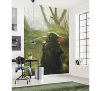 Star Wars large MURAL 78x110 inch Mandalorian Grogu acrylic decor WALL Wallpaper