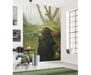 Star Wars large MURAL 78x110 inch Mandalorian Grogu acrylic decor WALL Wallpaper