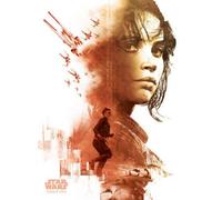 Star Wars: Rogue One Jyn Erso Canvas Print Red/black (60Cm X 80Cm)
