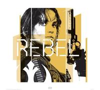 Star Wars Rogue One (Jyn Rebel) 40 x 40cm Art Print