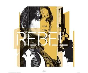 Star Wars Rogue One (Jyn Rebel) 40 x 40cm Art Print