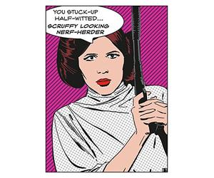Star Wars "Scruffy Looking Nerf-Herder Canvas Print, Multi-Colour, 60 x 80 cm
