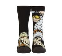 HEAT HOLDERS SOCKSHOP Mens Disney Star Wars 1.6 TOG Lite Luke & Yoda Thermal Socks Pack of 1 Black 6-11