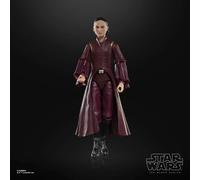 Star Wars The Phantom Menace Black Series Padme Amidala Action Figure HASBRO