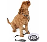 Star Wars Pets Gift Set | Small OR Medium Darth Vaider Villain Lead Collar Charm Accessory Feeder Food Water Bowl | Dogs Cats Birthday Treats Small