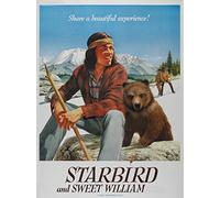 Starbird and Sweet William