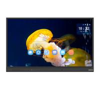 StarBoard TE-YL5 75" Display