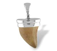 Starborn Fossil Mosasaurus Tooth Pendant in Sterling Silver