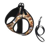 Starfish and Shells Print Step in Dog Harness and Leash Set,Mesh Pet Vest Harness for Small Dogs and Cats