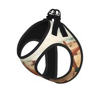 Starfish in The Sand Print Step in Dog Harness and Leash Set,Mesh Pet Vest Harness for Small Dogs and Cats