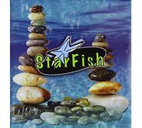 Starfish - Rocks