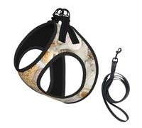 Starfish Seashell Sandy Beach Compact Pet Suspender Vest-The Perfect Small Pet For A Comfortable Walk